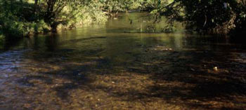 Photo showing a stream with sediment in it.