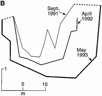 Figure 40. Surveyed stream channel cross-sections taken downstream of an urbanizing area on Borrego Canyon Wash, CA. 