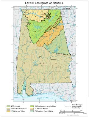 Level III Ecoregions of Alabama--page size