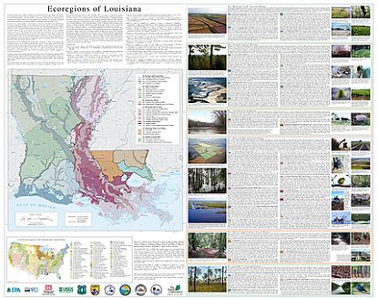 Level IV Ecoregions of Louisiana--poster front side