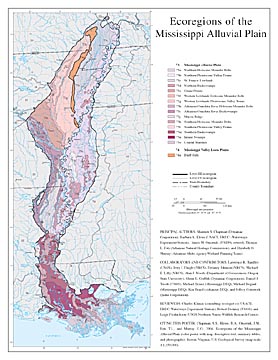 Level III and IV Ecoregions of the Mississippi Alluvial Plain--page size