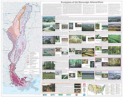 Level IV Ecoregions of the Mississippi Alluvial Plain--poster back side