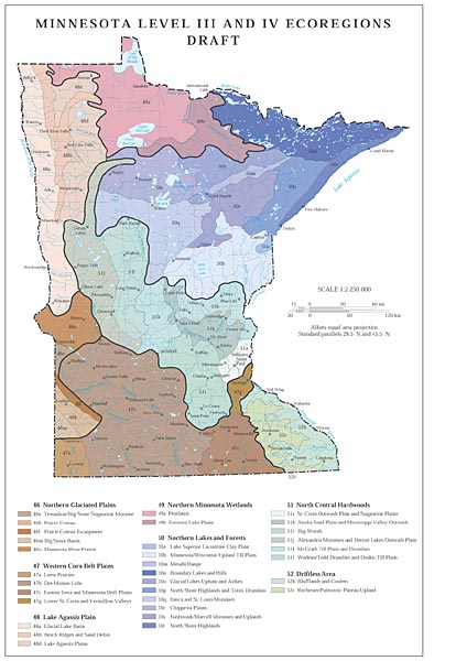 Level III and IV Ecoregions of Minnesota
