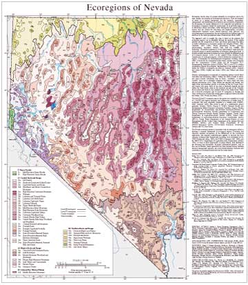 Level III and IV Ecoregions of Nevada