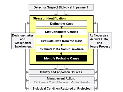 Figure 5-1. Illustrates where Step 5: Identify Probably Cause fits into the Stressor Identification process.