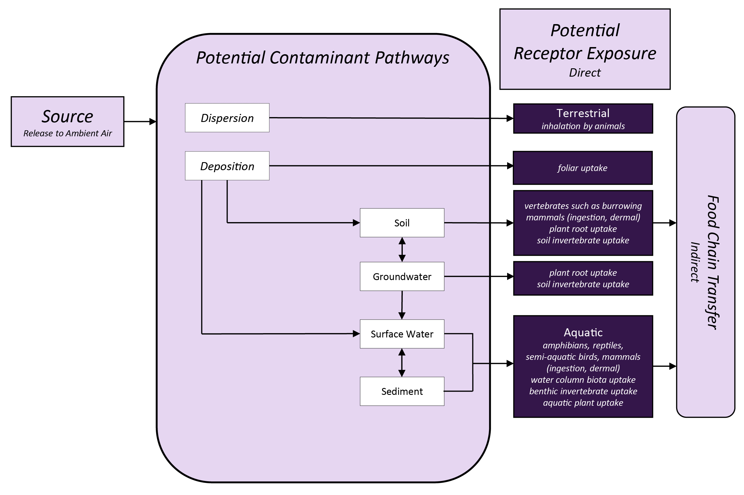 potential exposure pathways and ecological receptors