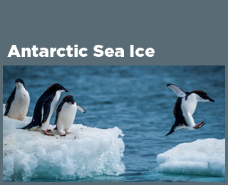 Антарктический морской лед