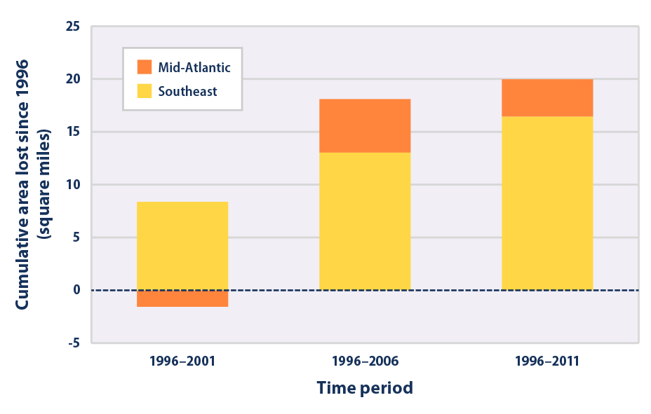 Bar graph showing the net amount of land converted to open water along the Atlantic coast during three time periods: 1996–2001, 1996–2006, and 1996–2011. Results are divided by region. 