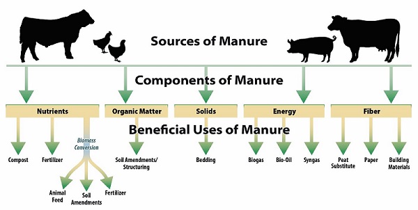 Animal Feeding Operations - Uses of Manure | US EPA