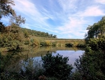 Pond on Boyer property, which is part of the land conservancy project. 