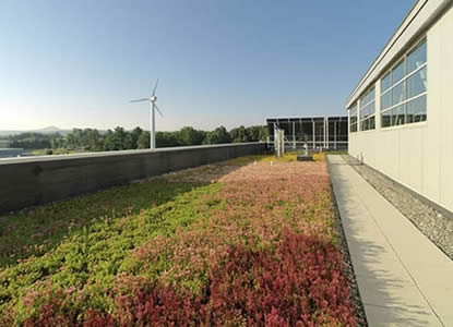 A green roof in Burlington, Vermont (Photo Credit - VT Stormwater Program)