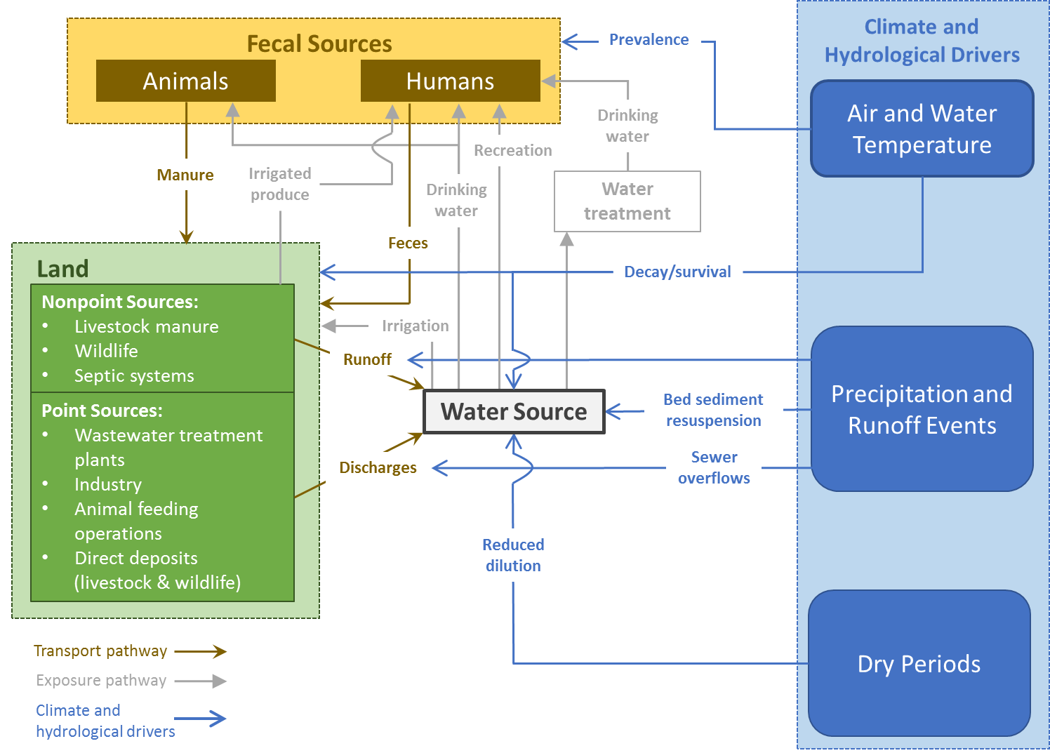 Effect of climate change on waterborne pathogens 