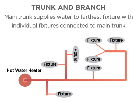 Trunk and Branch Hot Water Distribution System