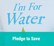 Pledge to Save