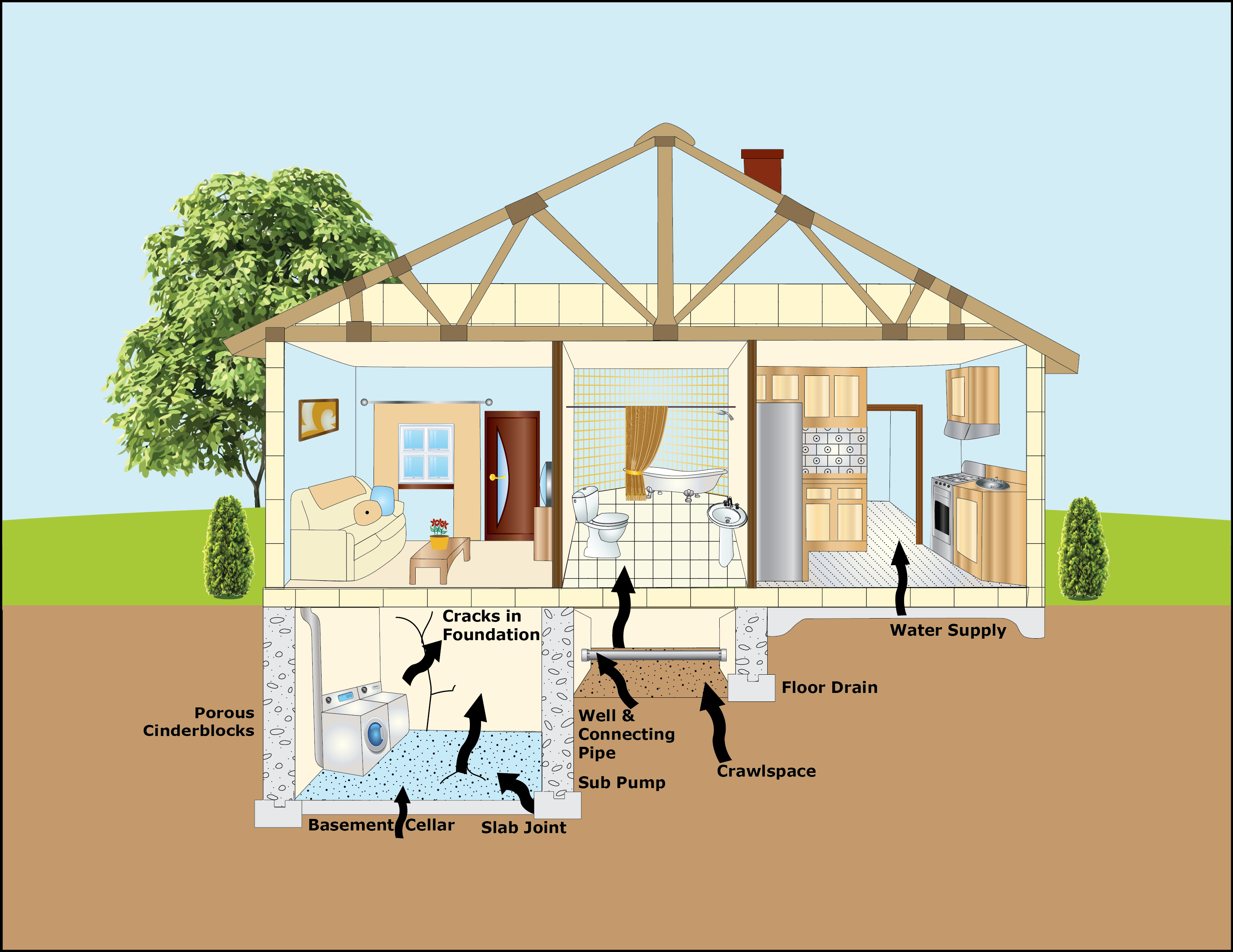 Radon in Homes, Schools and Buildings - US EPA