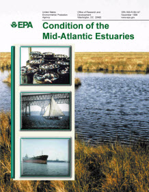 1998 Report for the Mid-Alantic States
