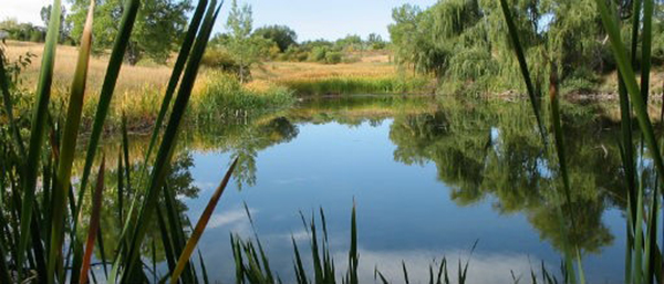 Pond in the Rocky Mountain Arsenal National Wildlife Refuge