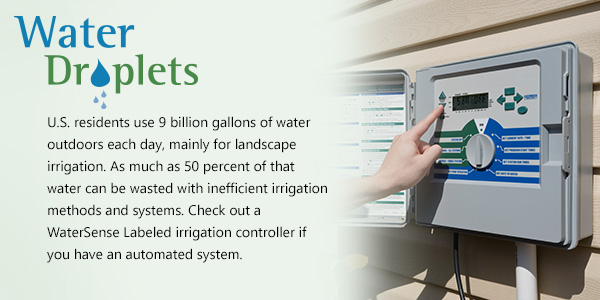 Irrigation controller graphic.