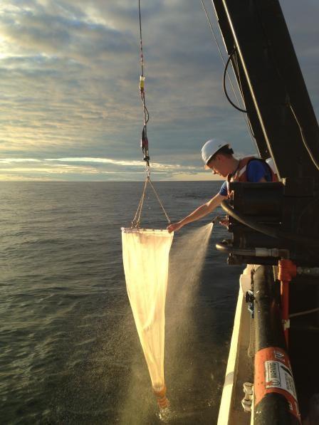 Great Lakes Zooplankton Monitoring