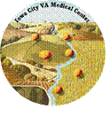 image of Iowa City VA logo