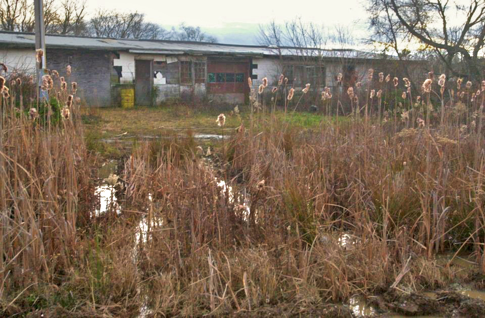 Photo of the Reich Farm Superfund site along Tom's River in New Jersey.