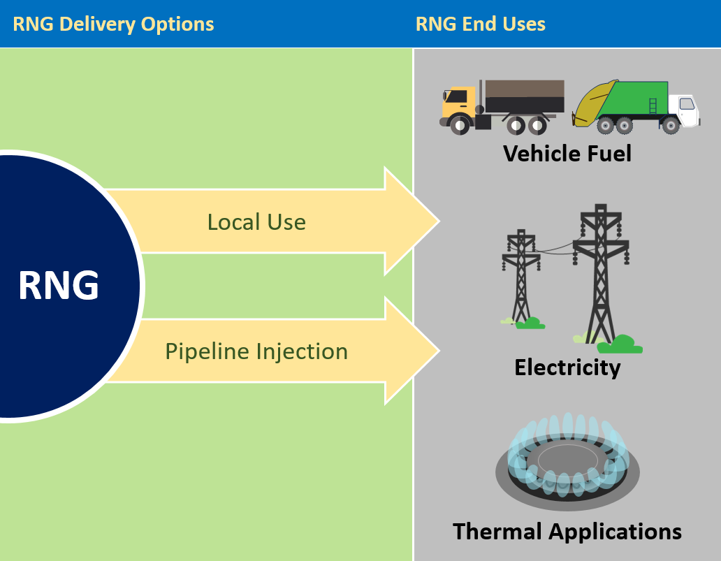 Diagram showing the basic delivery methods of renewable natural gas as either Local Use or Pipeline Injection; and the basic end uses of renewable natural gas as Vehicle Fuel, for Electricity or in Thermal Applications.