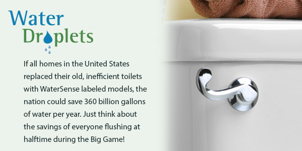 Water efficient toilet fact