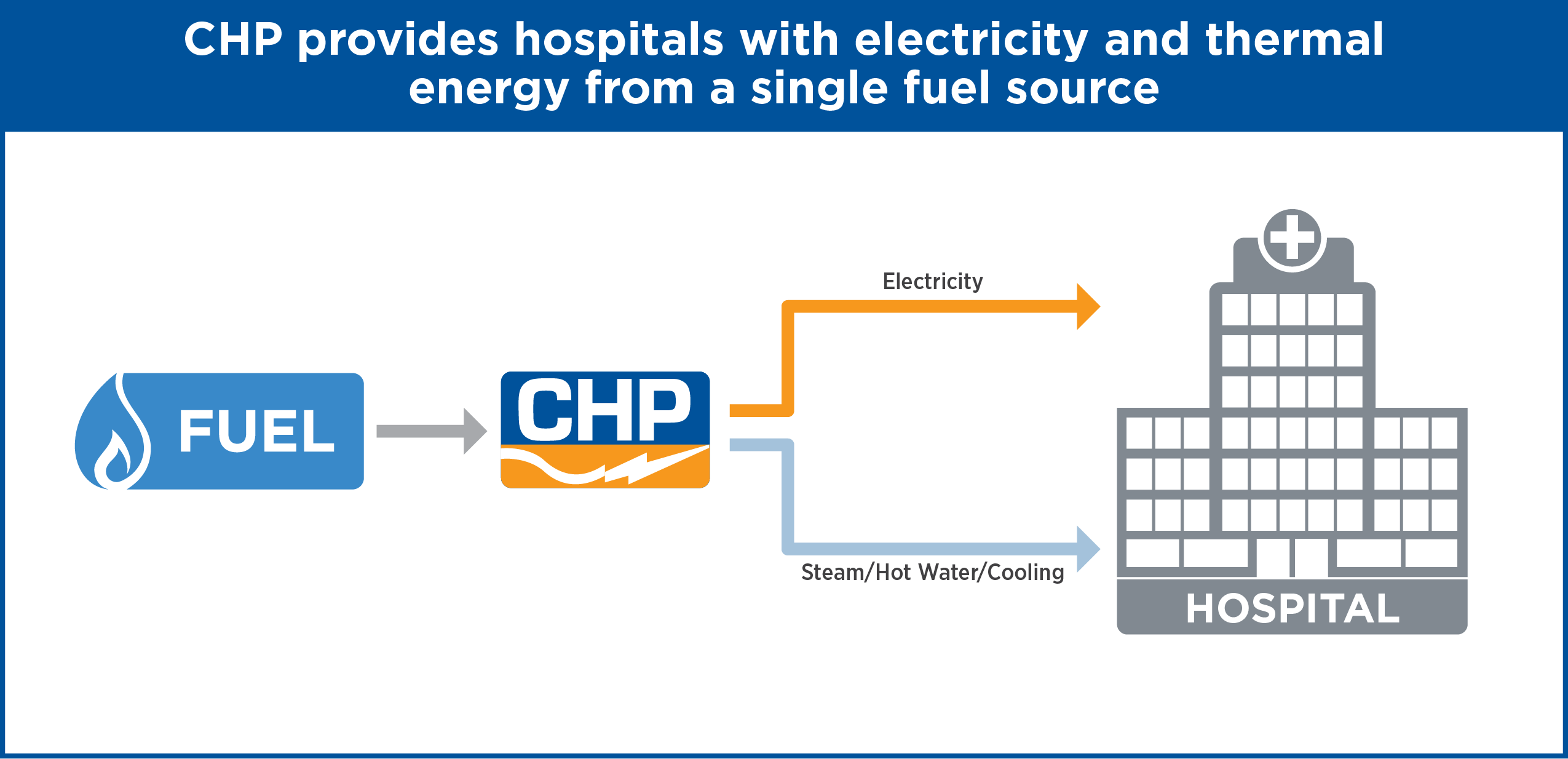 CHP Energy Flow