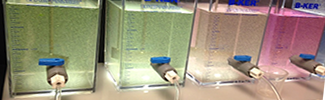 Jar testing cyanobacterial cell removal case study - EPA Cincinnati Lab