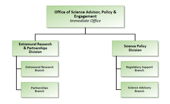 Organization Chart For The Office Of Science Advisor, Policy And Engagement  (Osape) | Us Epa
