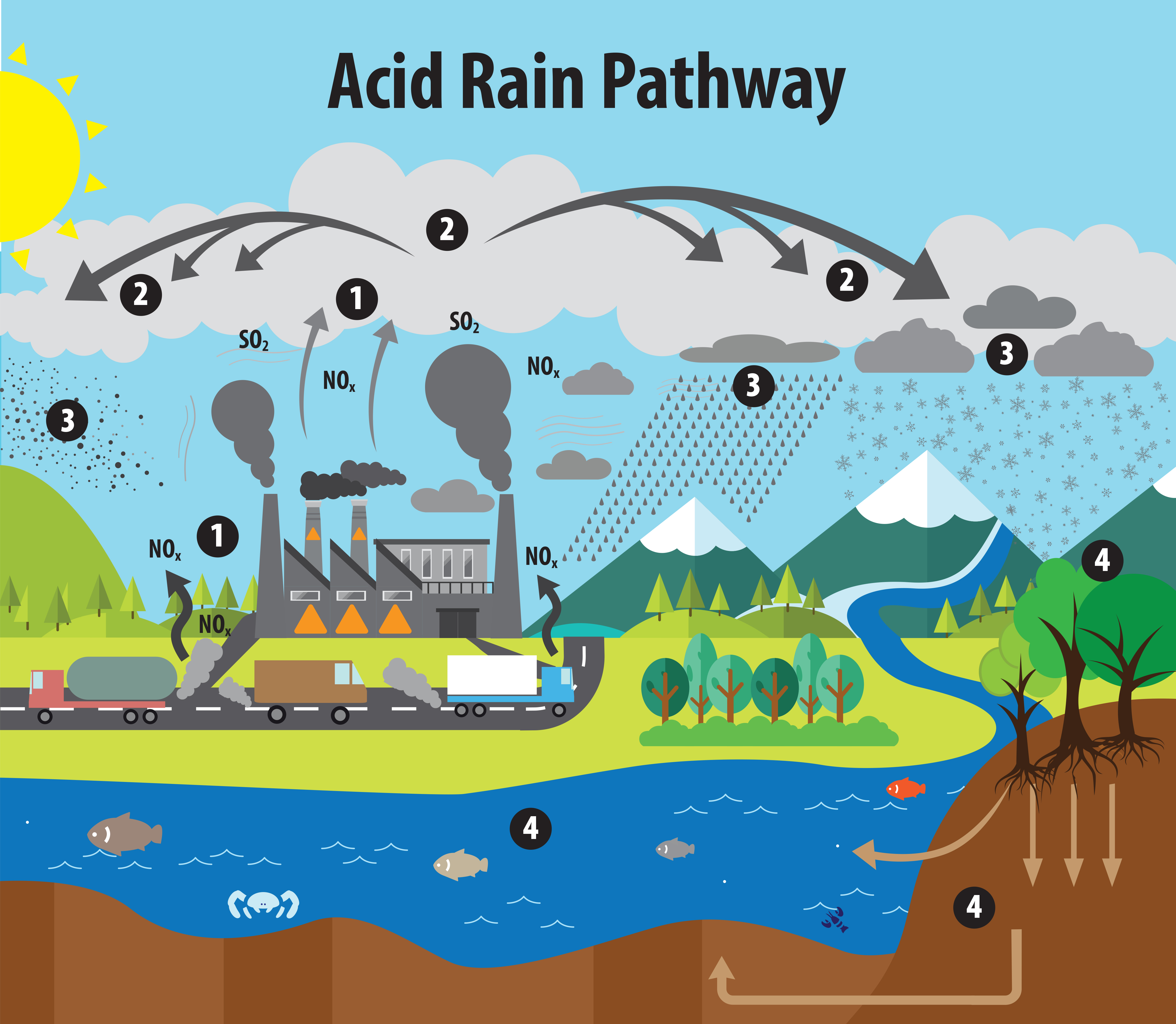 acid rain damage on cars