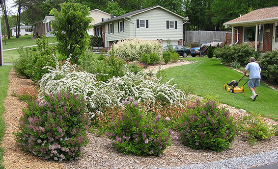 front yard landscaping berm ideas