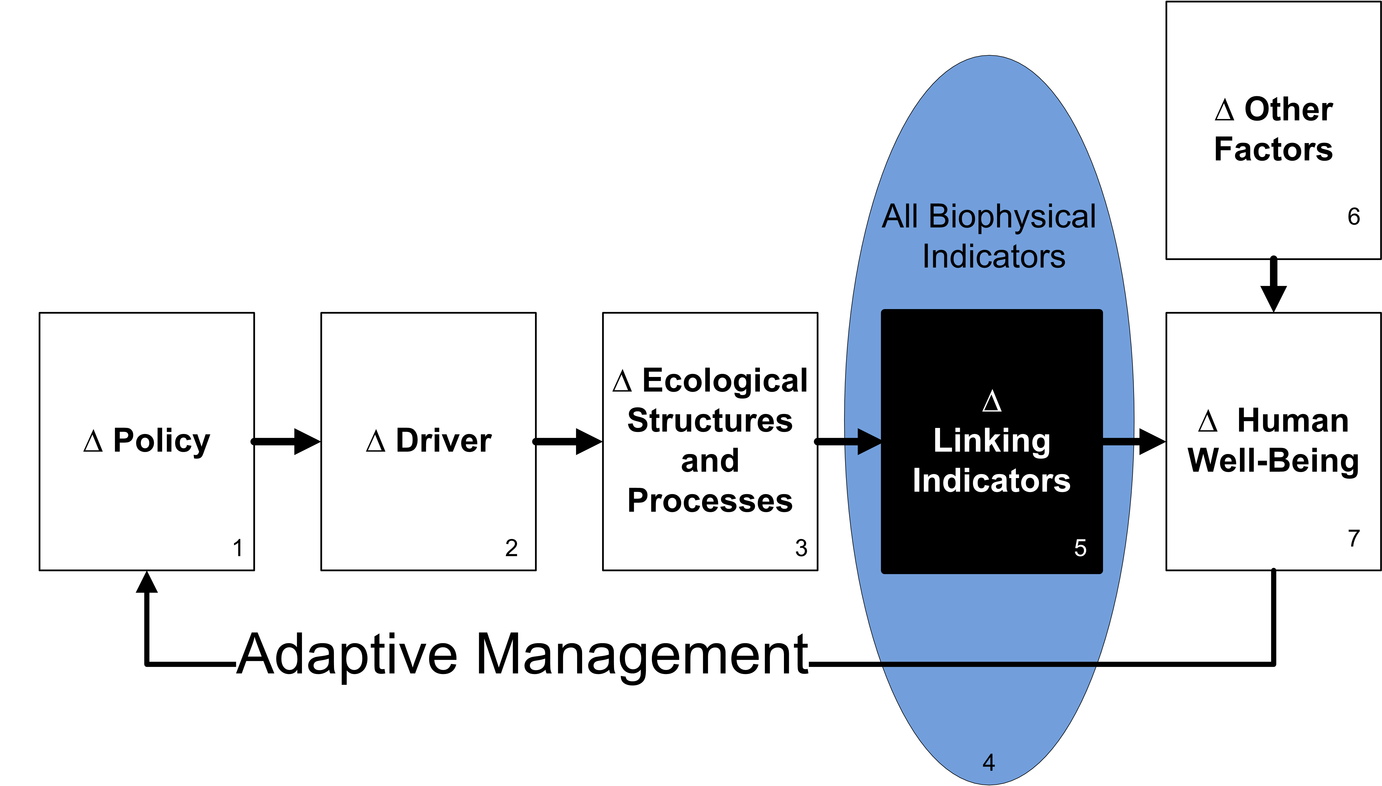 Conceptual model for Adaptive Management from Boyd et al. 2016