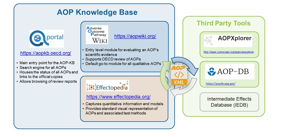 Illustration of the capabilites of AOP Knowledge Base and how it interacts with third party tools.