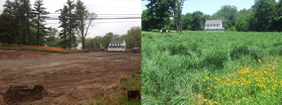 Two photos of the same house. One shows in a field of soil, the next shows it surrounded by green grasses and flowers.