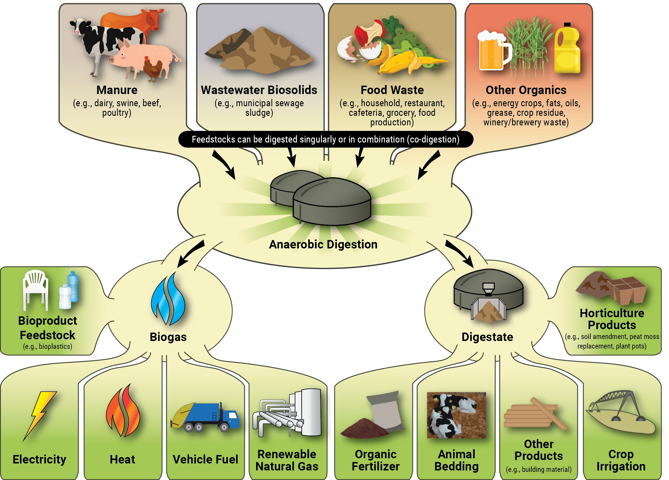 AgSTAR AD Biogas Diagram