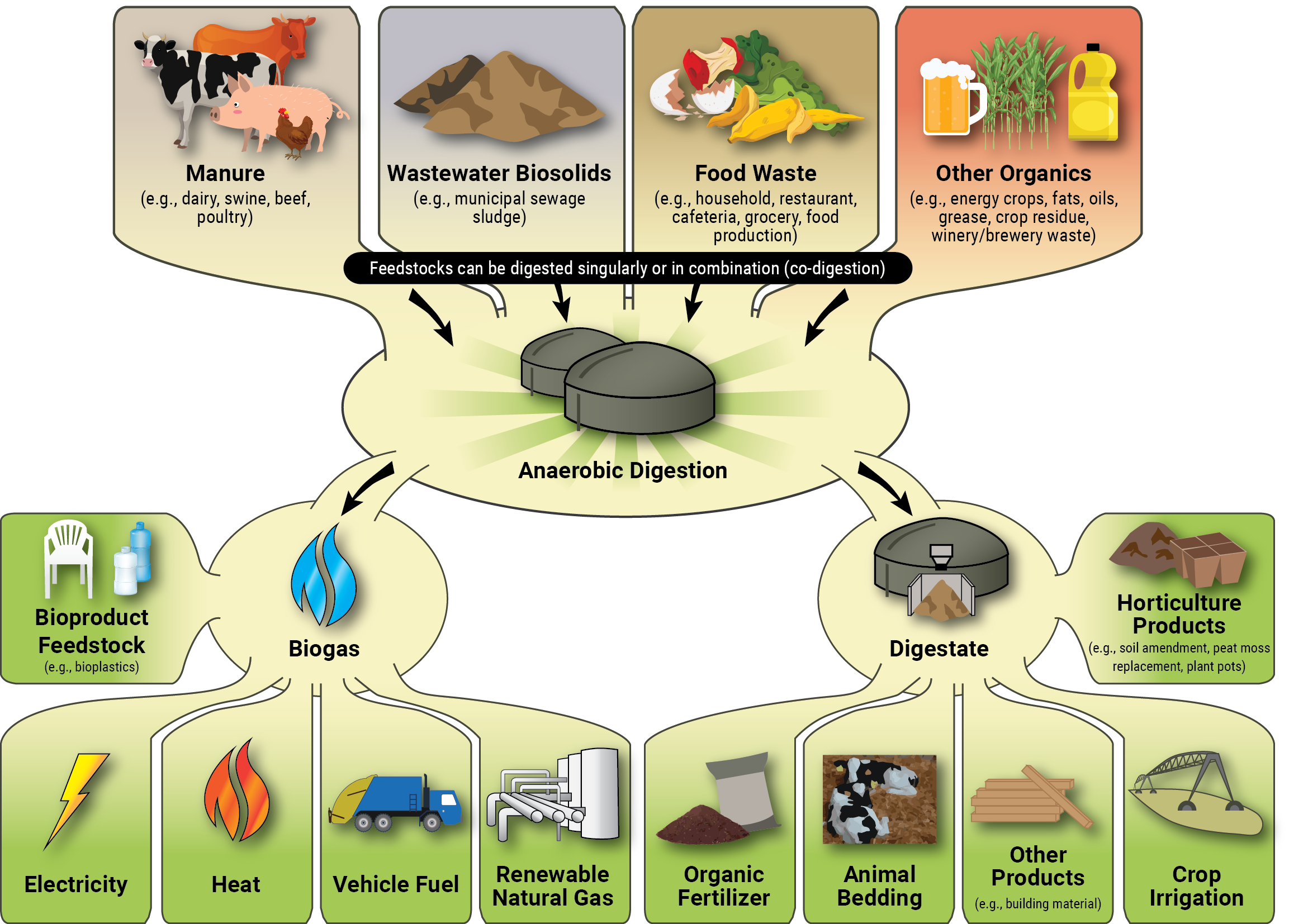 Biogas production through anaerobic co-digestion of rice husk and