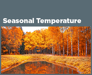 Seasonal Temperature