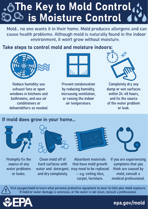 The Key to Mold Control is Moisture Control - Infographic