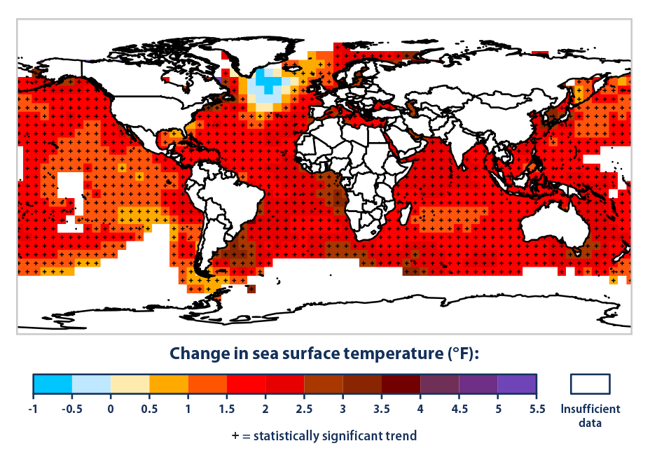 Atlantic Ocean Water Temperature Map 