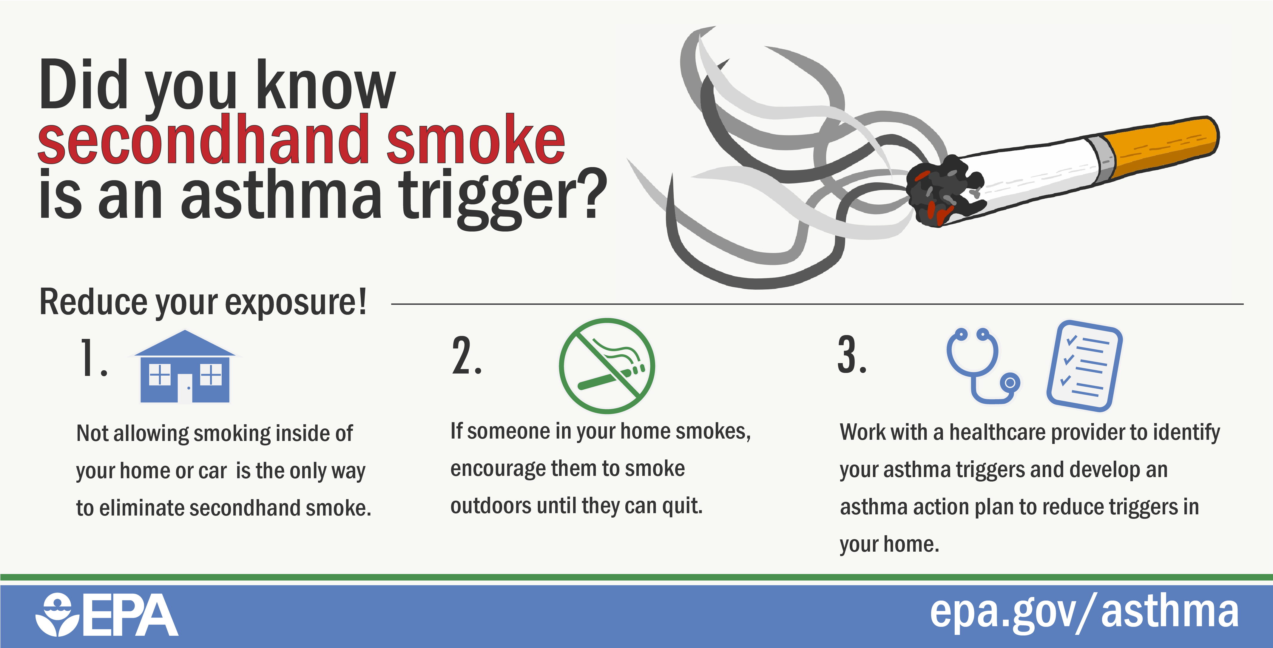 Asthma Triggers Infographics