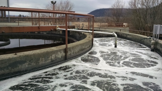 Photo of an active wastewater treatment tank.