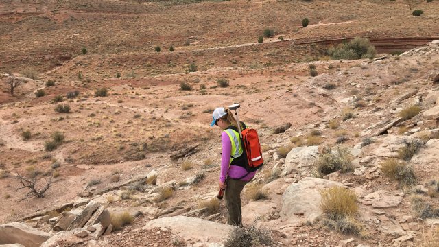 performing a surface gamma scan at the King Tutt Point mine in Red Valley.