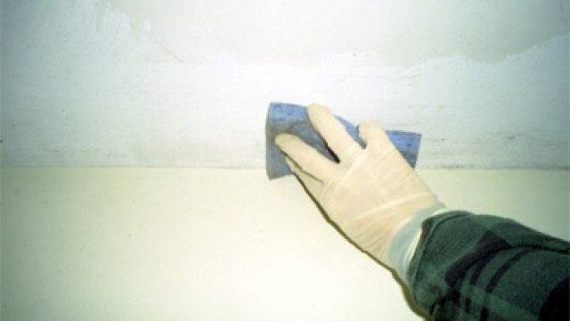Mold Cleanup and Biocides