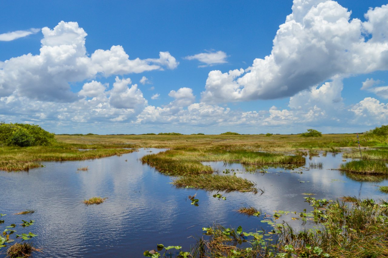 Climate Adaptation and Wetland Protection US EPA