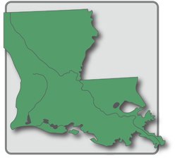 Louisiana State