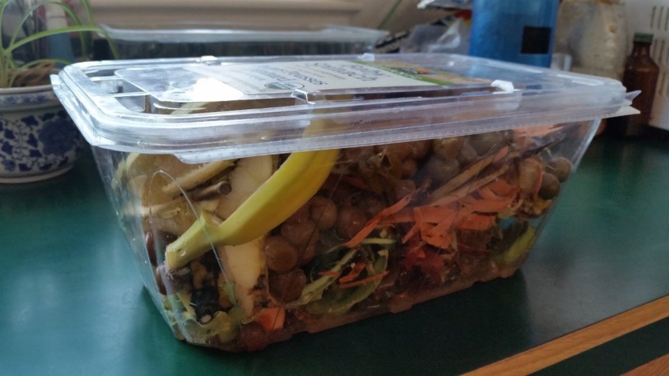 How to Create and Maintain an Indoor Worm Composting Bin Biology Diagrams