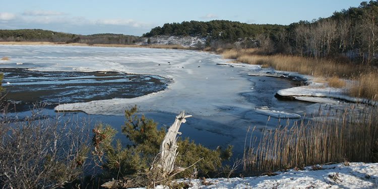 Winter landscape, Cape Cod, MA