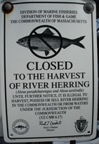 no fishing sign