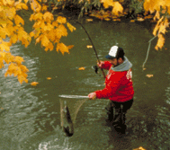 guy fishing with net
